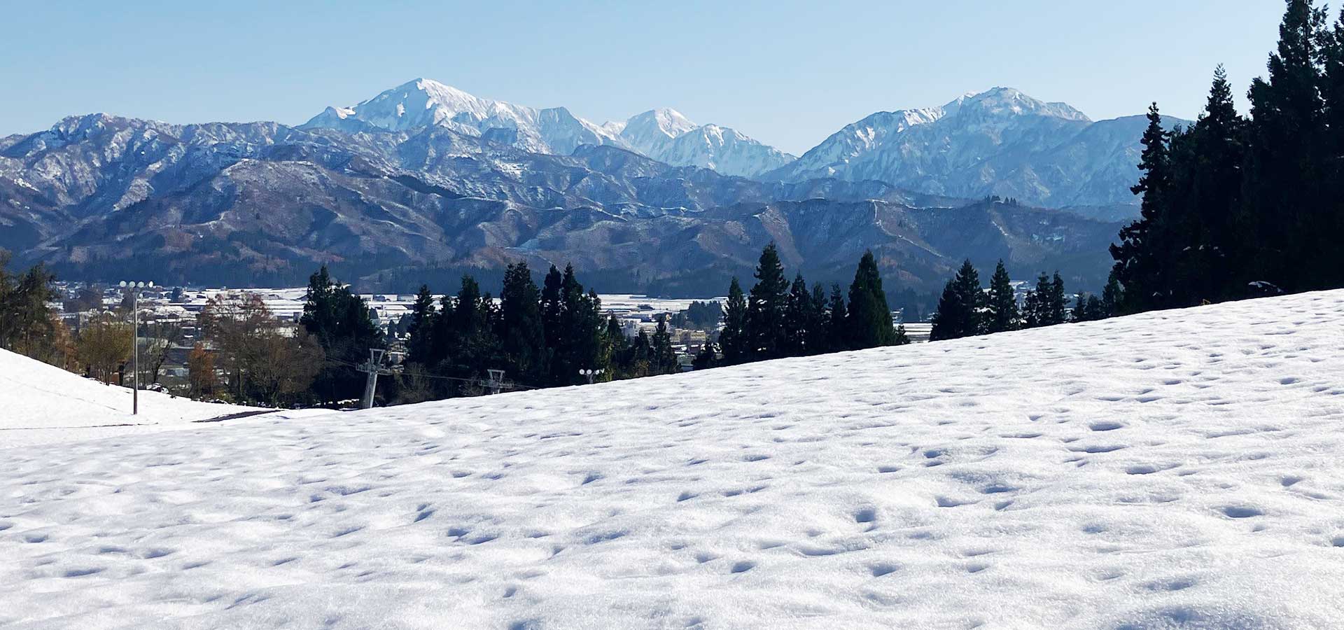 新潟県行政書士会